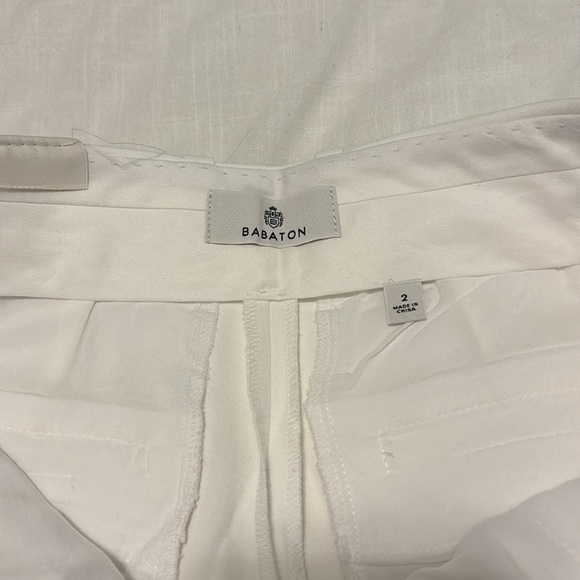 Aritzia Babaton Pleated Short in White - Picture 10 of 11
